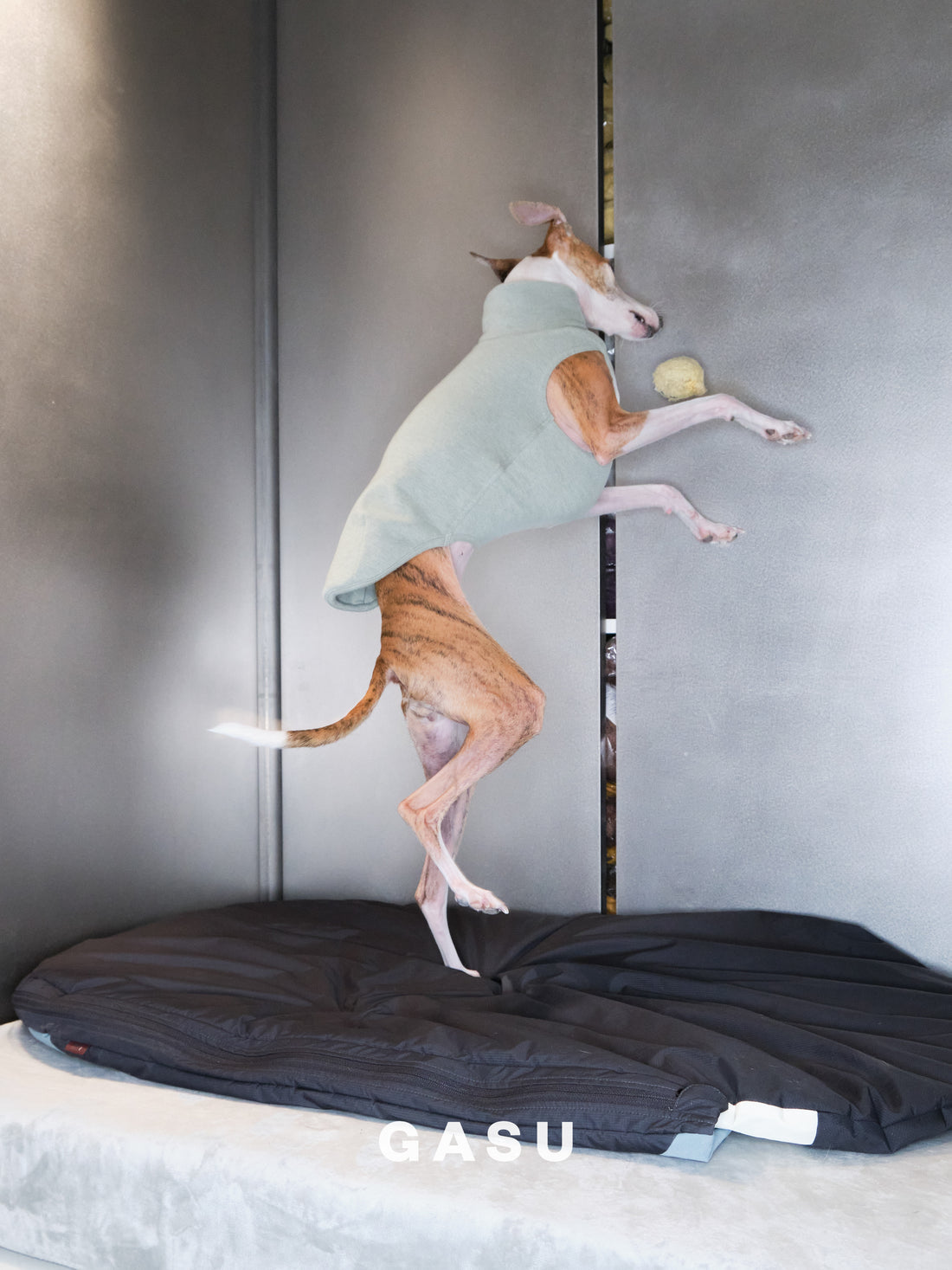 Flâner タイトフィットベスト ペールグリーン