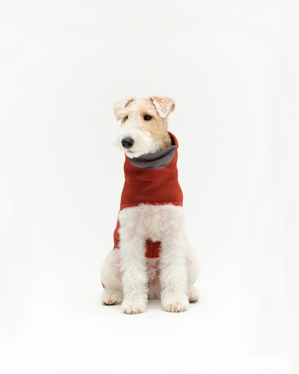 INTER FLEECE JACKET バーガンディー