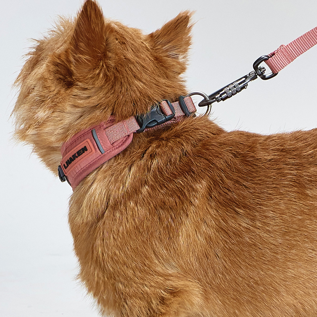 TREKTAIL Collar ピンク