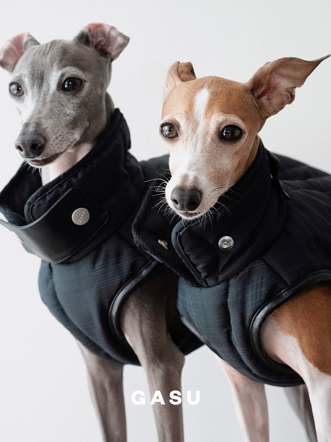 【全犬種対応】 Promener 3M™️シンサレート 静電気防止サーマルキルティングベスト