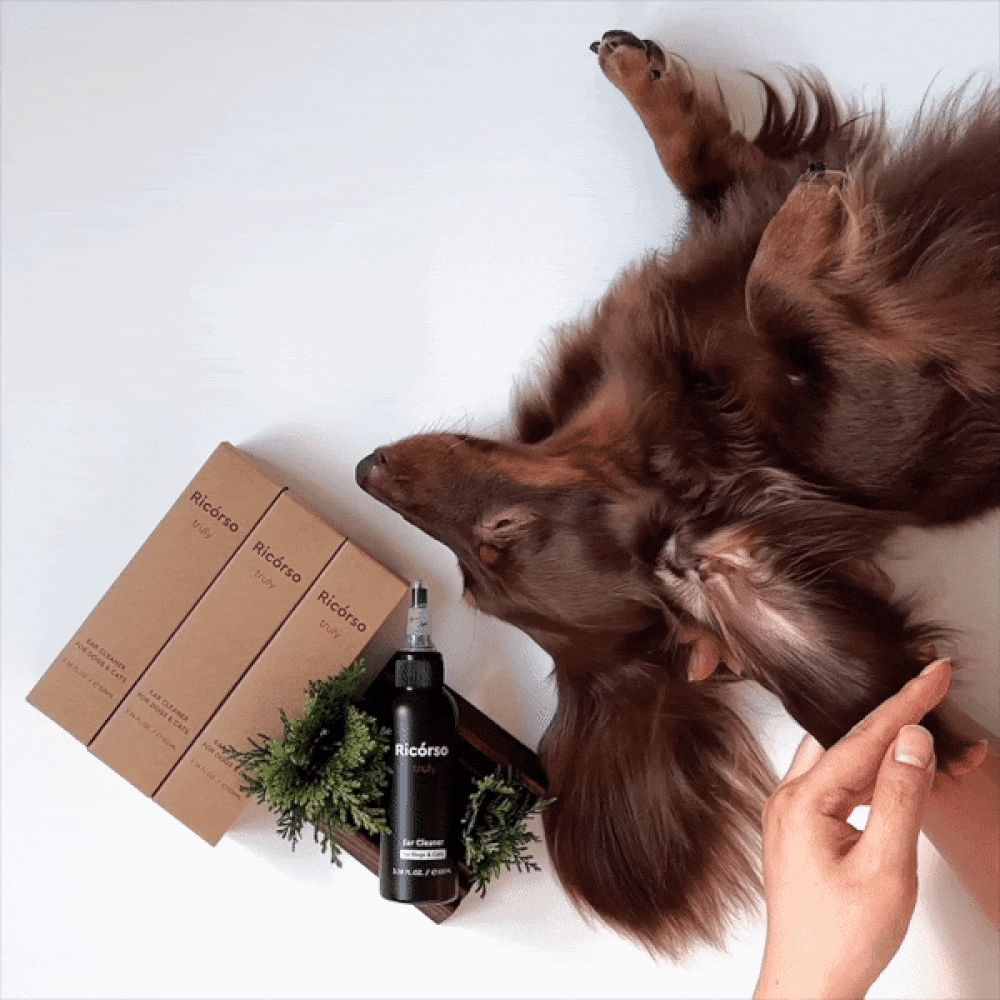 truly イヤークリーナー