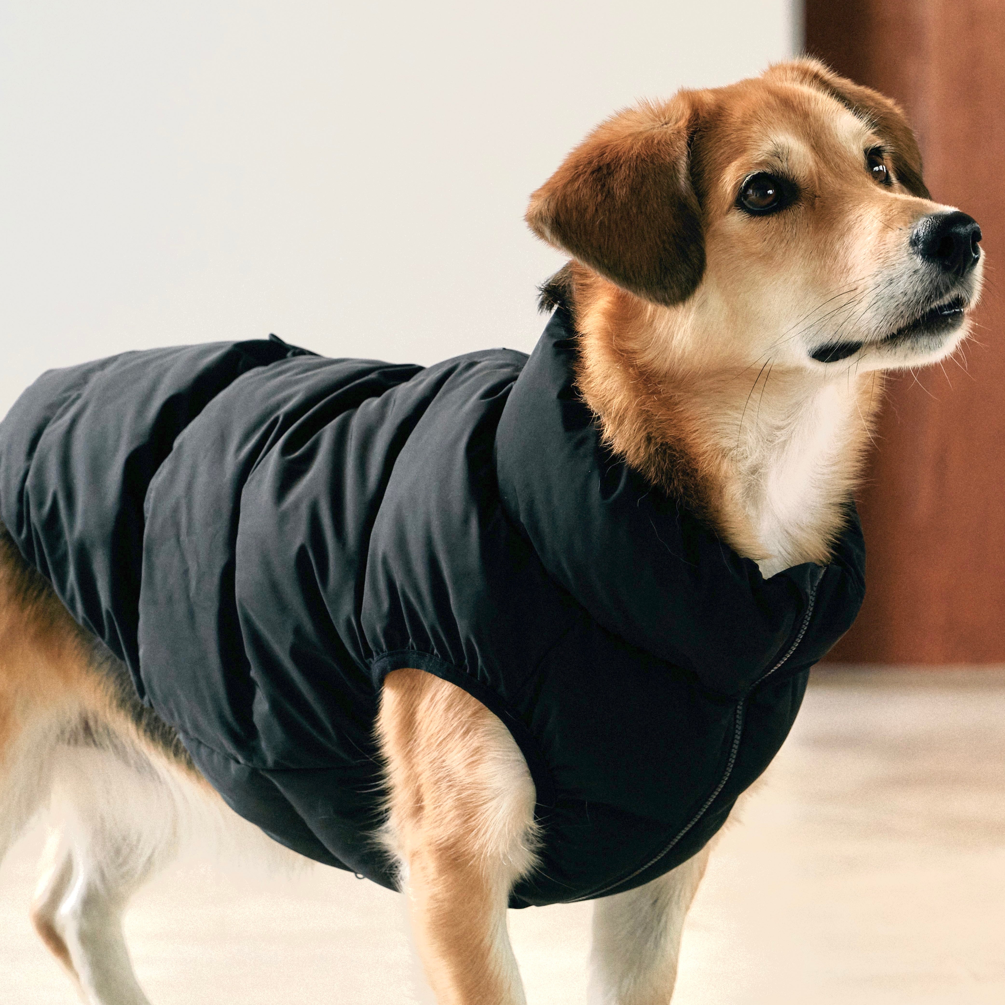 Cushy Puffer Vest ブラック