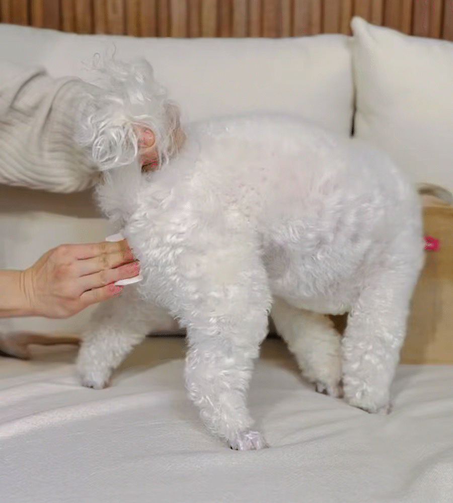 Walkly ウォーターレスフットクリーナー