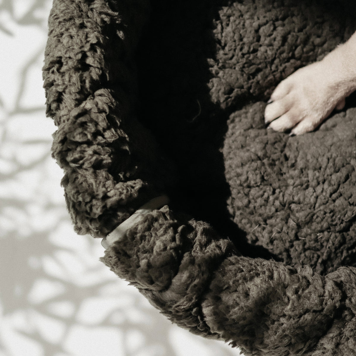 TAART ドーナツベッド FERN