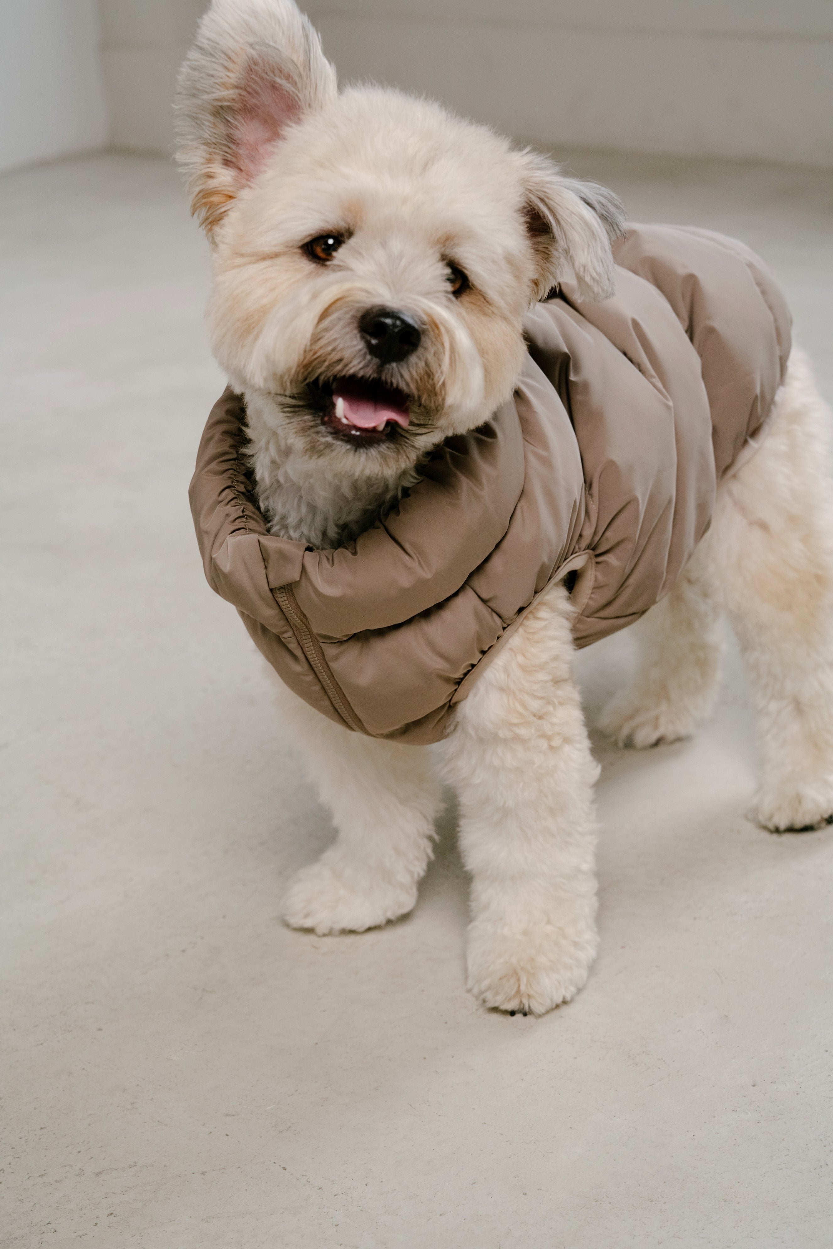 Cushy Puffer Vest カフェモカ