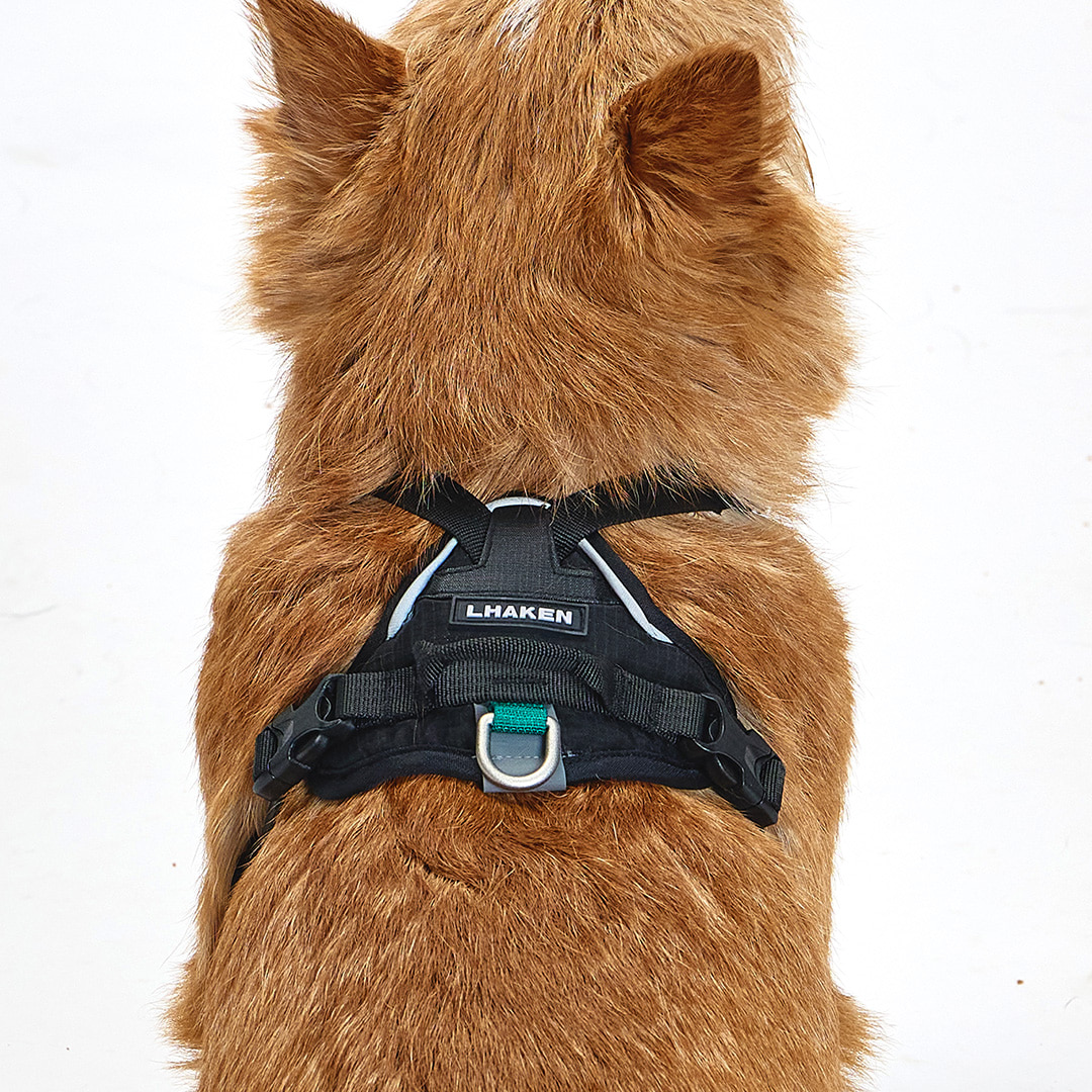 TREKTAIL Harness ブラック