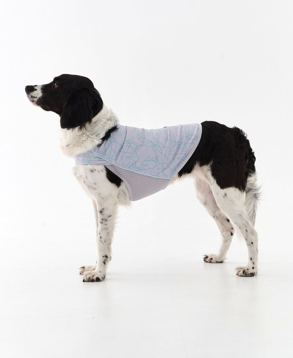 WEISS COOLING VEST GRAY