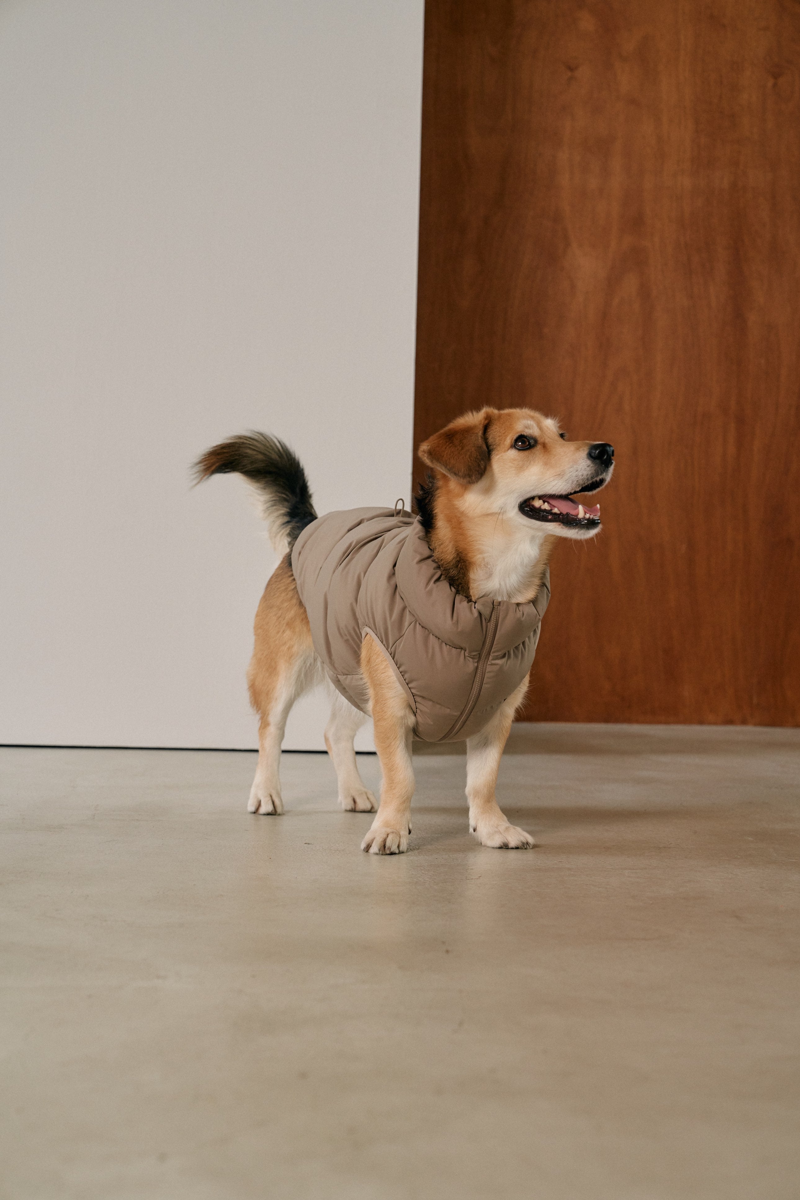 Cushy Puffer Vest カフェモカ