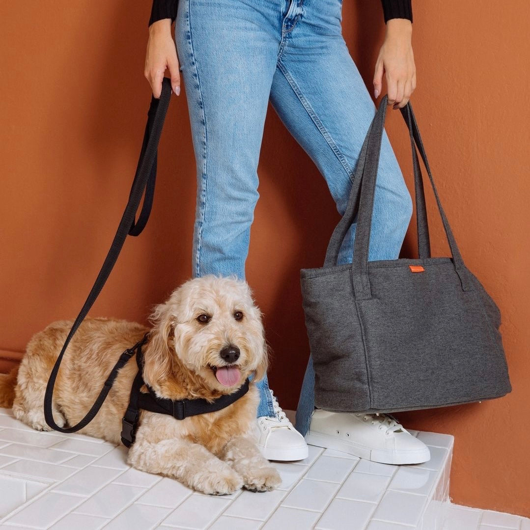 SOFT ROCK HARNESS ブラック