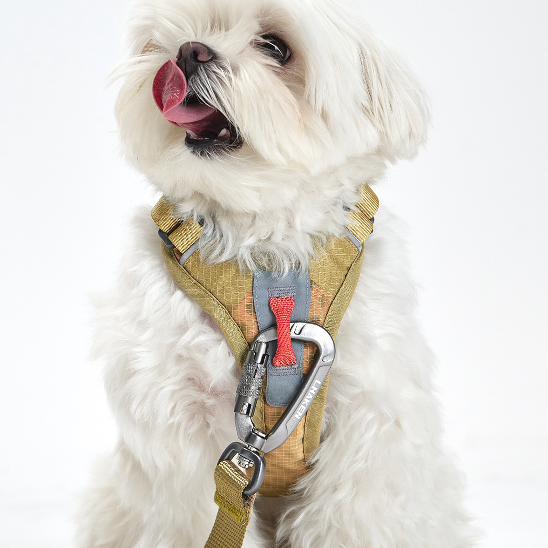 TREKTAIL Harness ベージュ