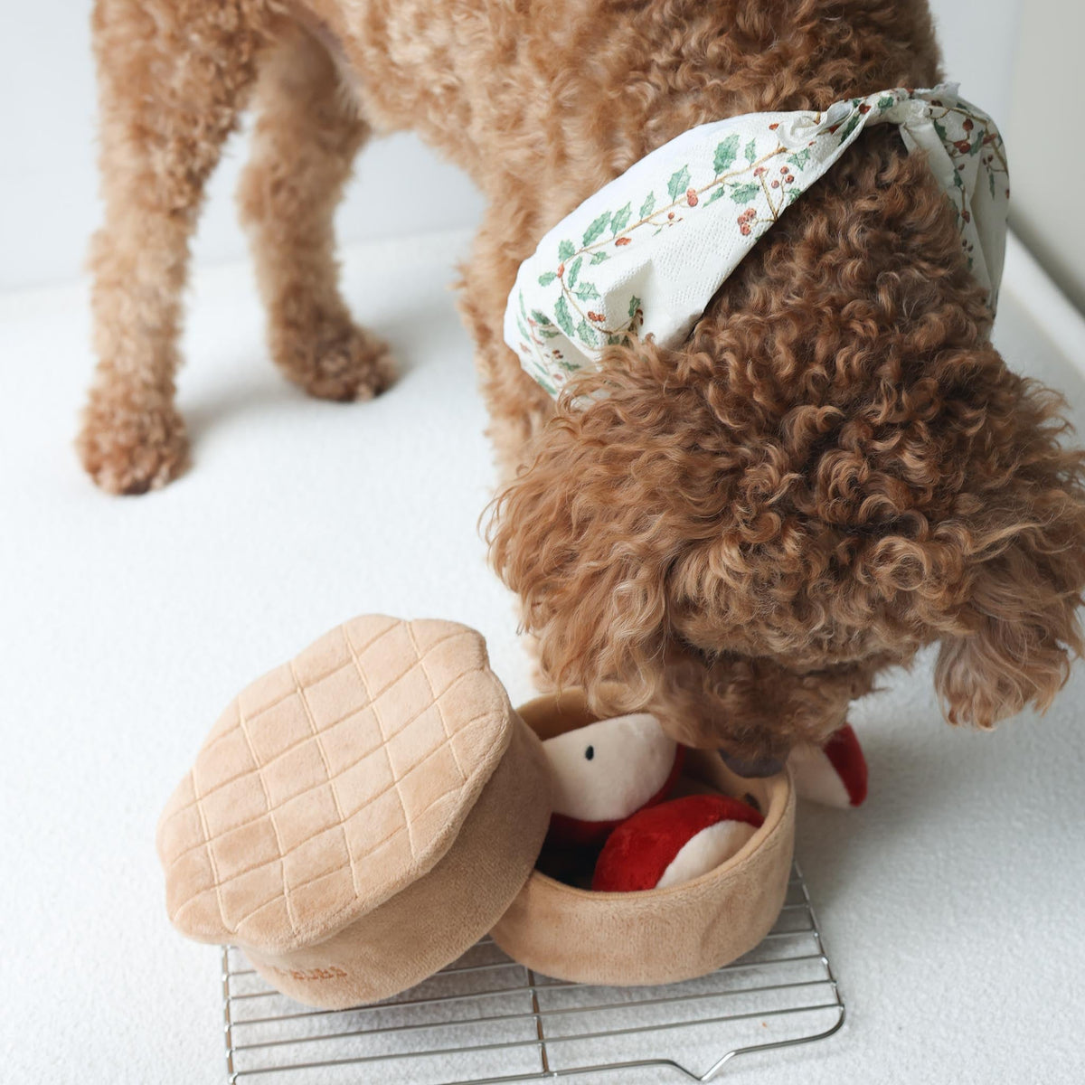 Apple Pie Nosework Toy