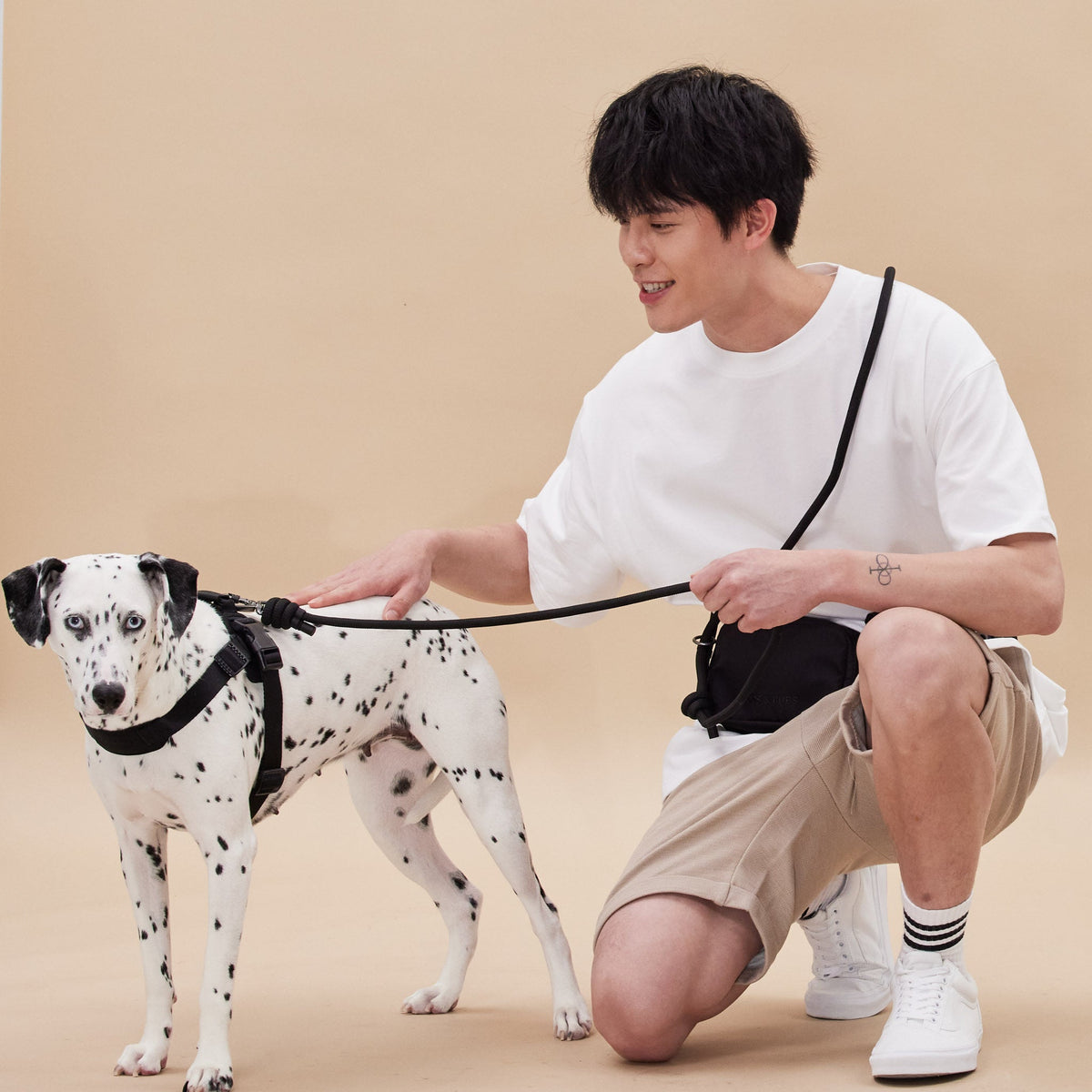 Rover Harness ブラック