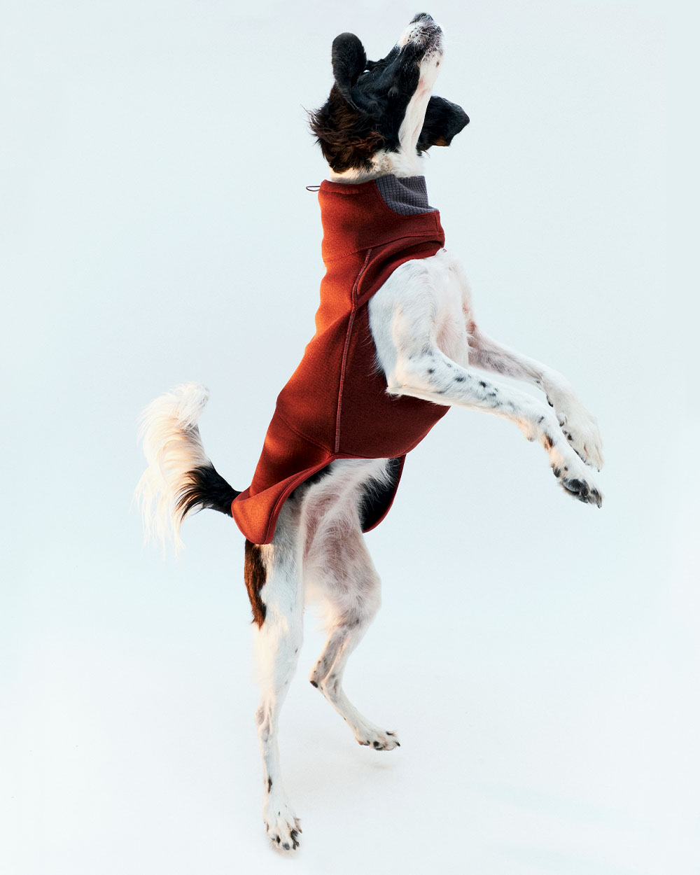 INTER FLEECE JACKET バーガンディー