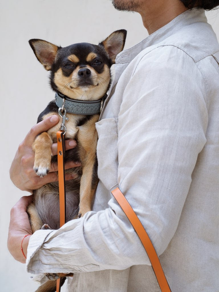 Mistico Dog Collar XLサイズ