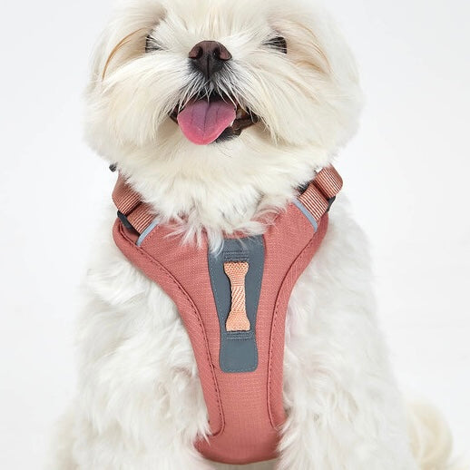 TREKTAIL Harness ピンク