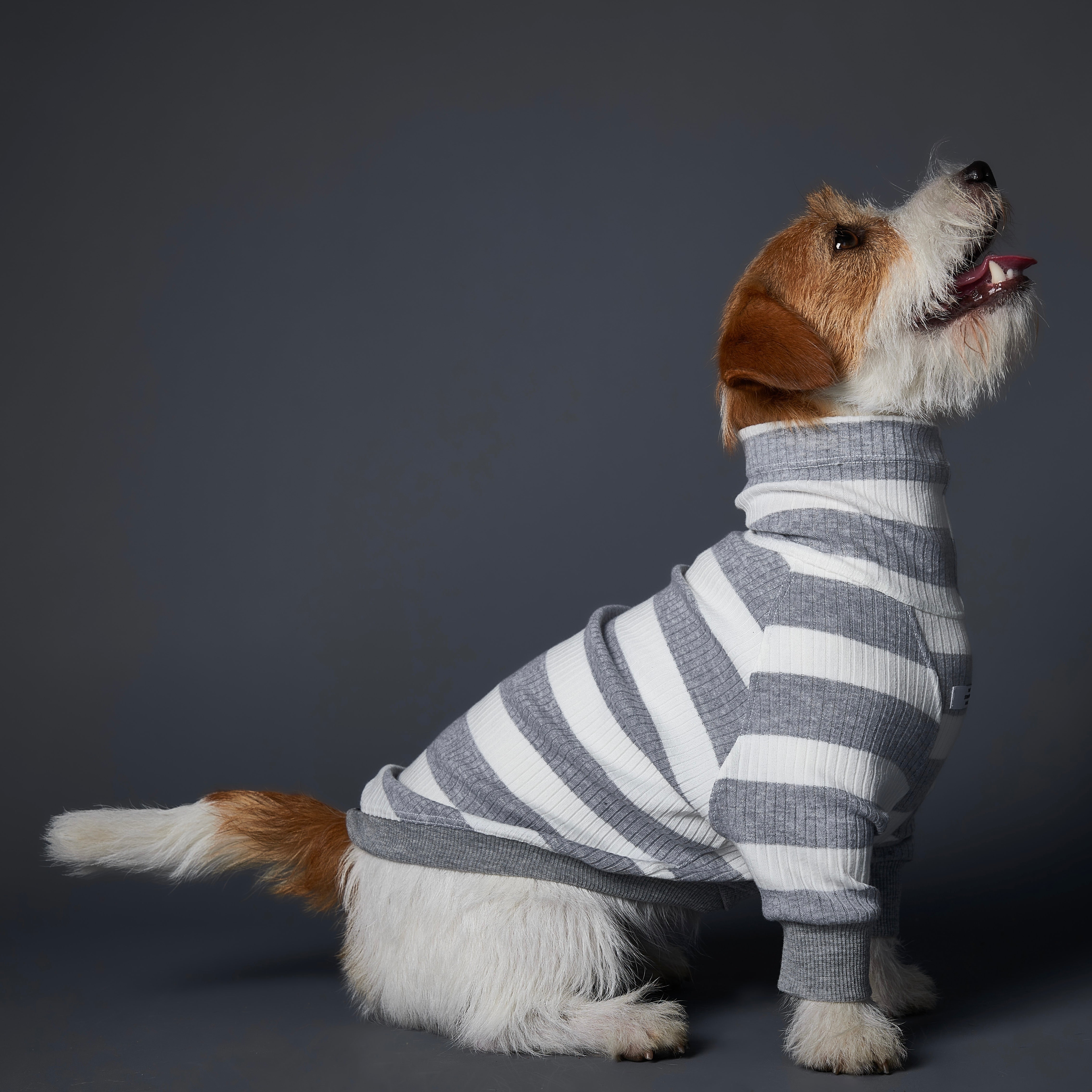 BREA タートルネックボーダーTシャツ