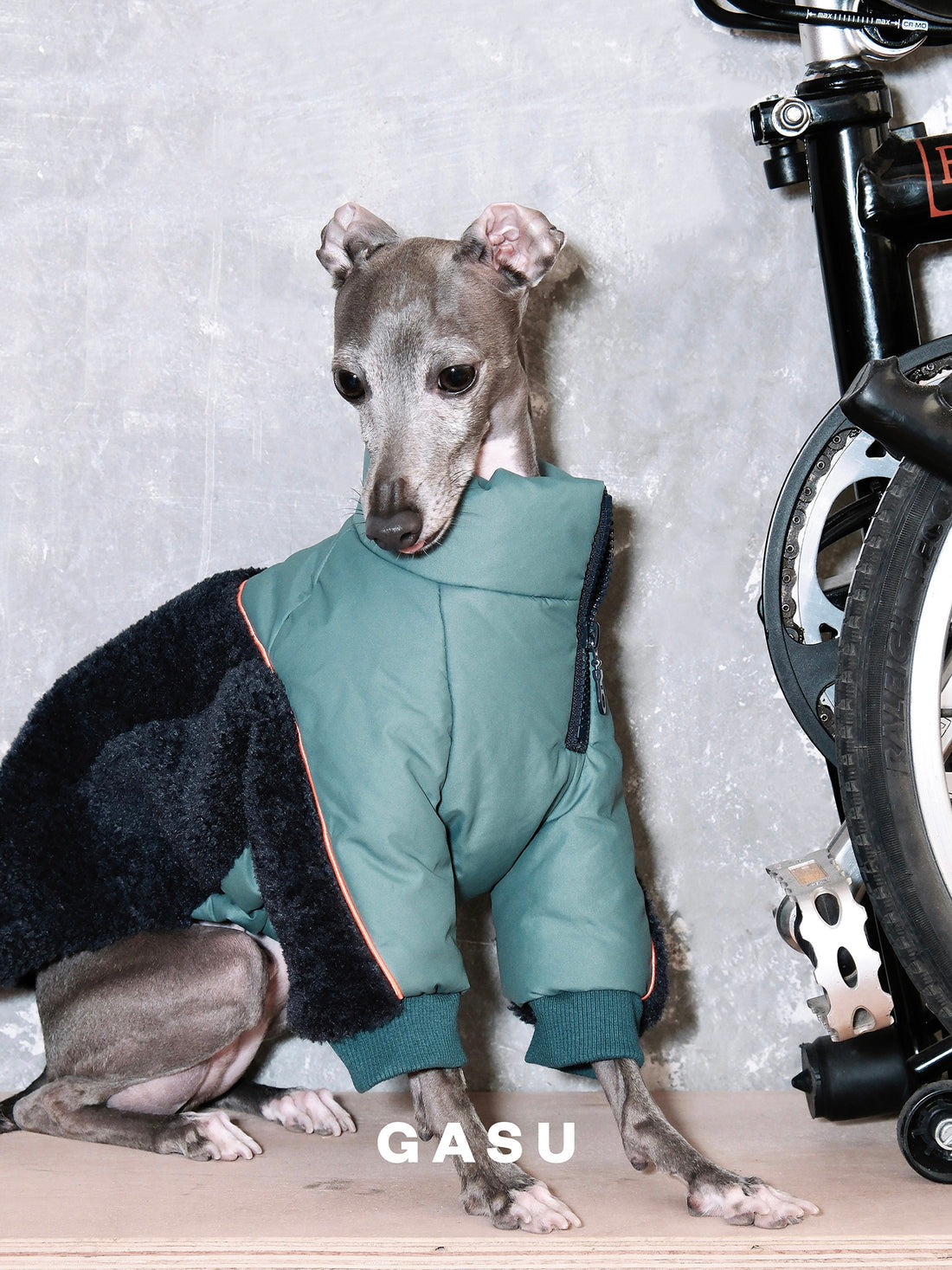 【全犬種対応】Variete 3M™️シンサレート あったかフリース中綿ジャケット