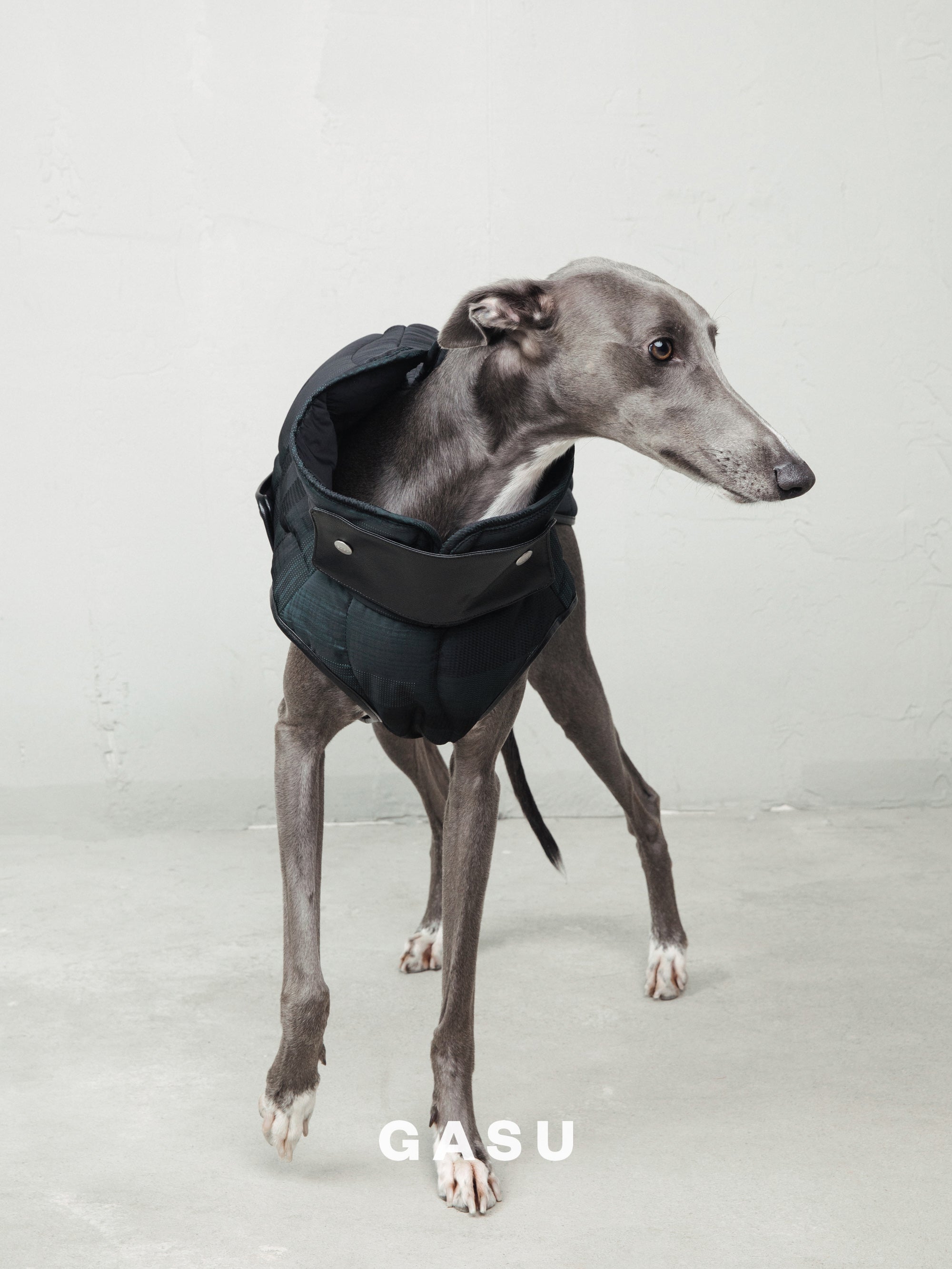 【全犬種対応】 Promener 3M™️シンサレート 静電気防止サーマルキルティングベスト