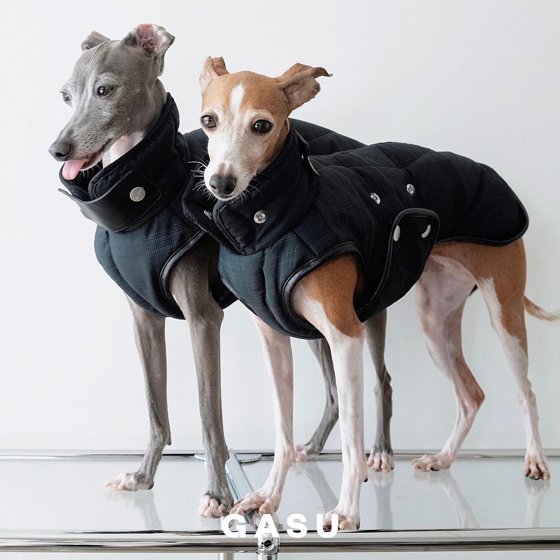 【全犬種対応】 Promener 3M™️シンサレート 静電気防止サーマルキルティングベスト