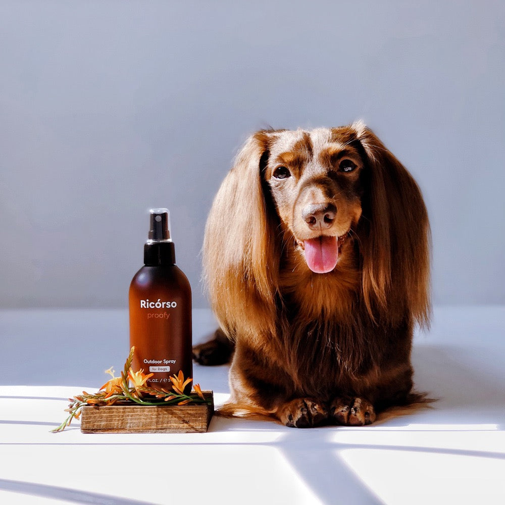 Proofy 害虫防止スプレー