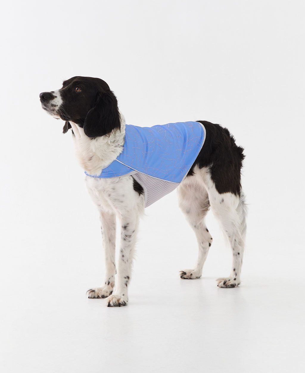 WEISS COOLING VEST BLUE