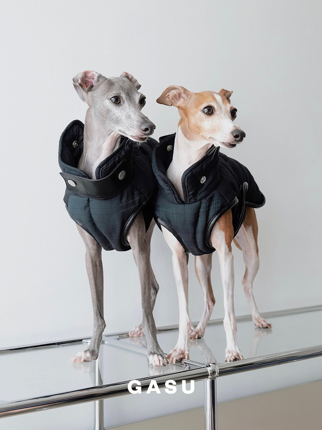 【全犬種対応】 Promener 3M™️シンサレート 静電気防止サーマルキルティングベスト