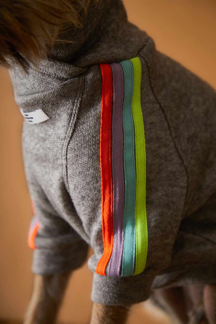 ELLE マルチカラーストライプニット