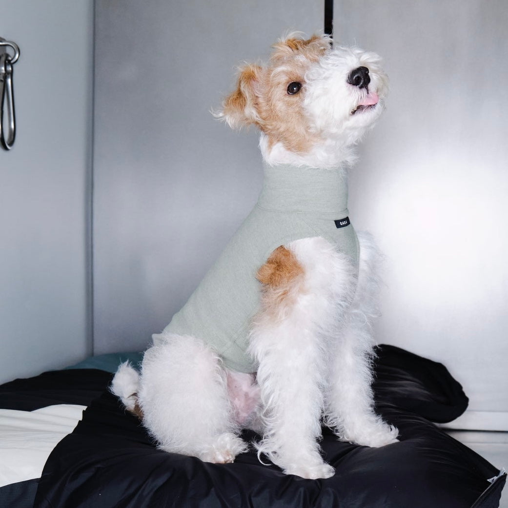 Flâner タイトフィットベスト ペールグリーン