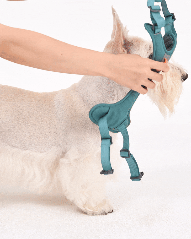 TREKTAIL Harness ピンク
