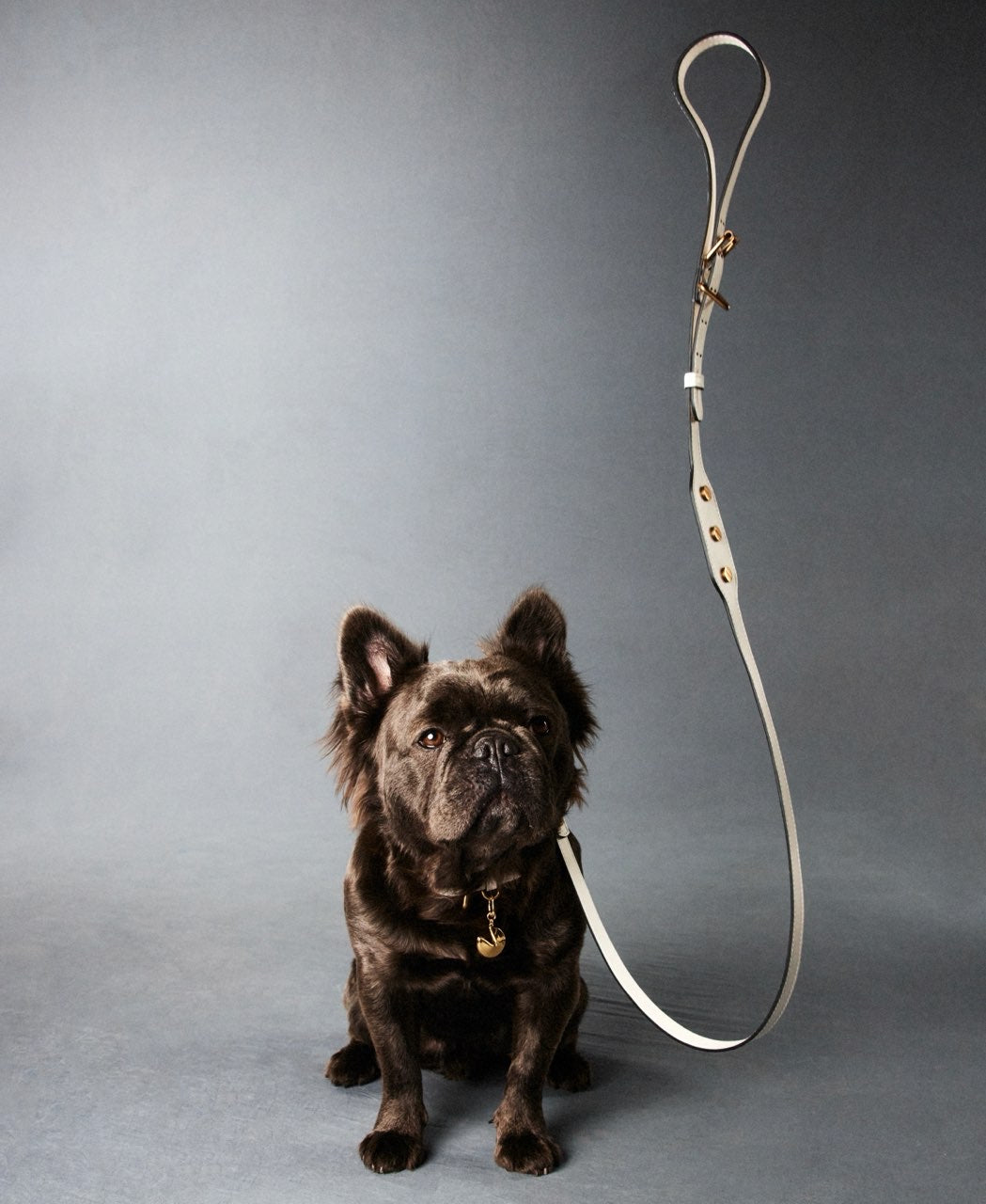 CLASSIQUE LEAD シナモン