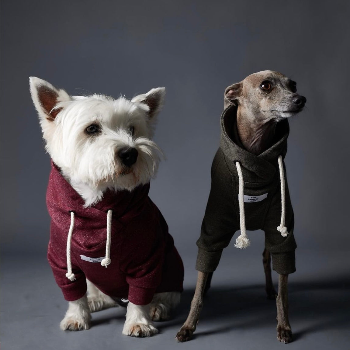 FONTANA ベーシックパーカー バーガンディ