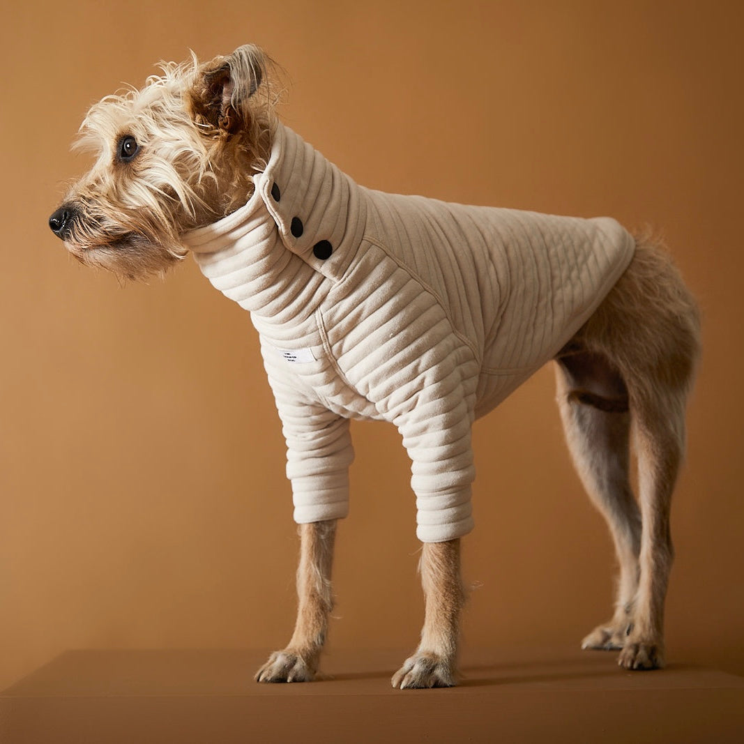 PROVENCE タートルネックキルティングカットソー