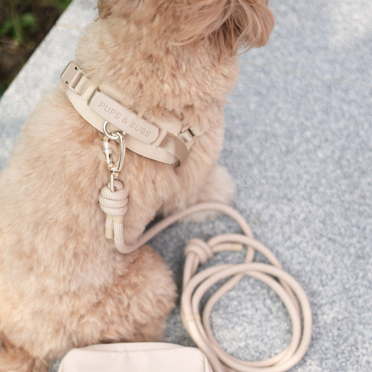 Rover Rope Leash ベージュ