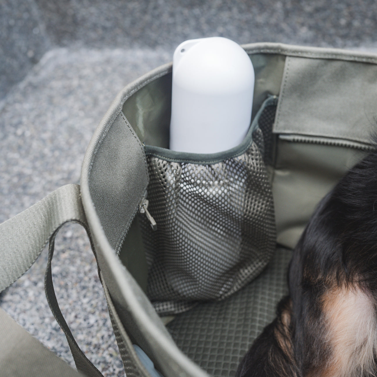 SUBWAY Petite Pet Carrycot FERN