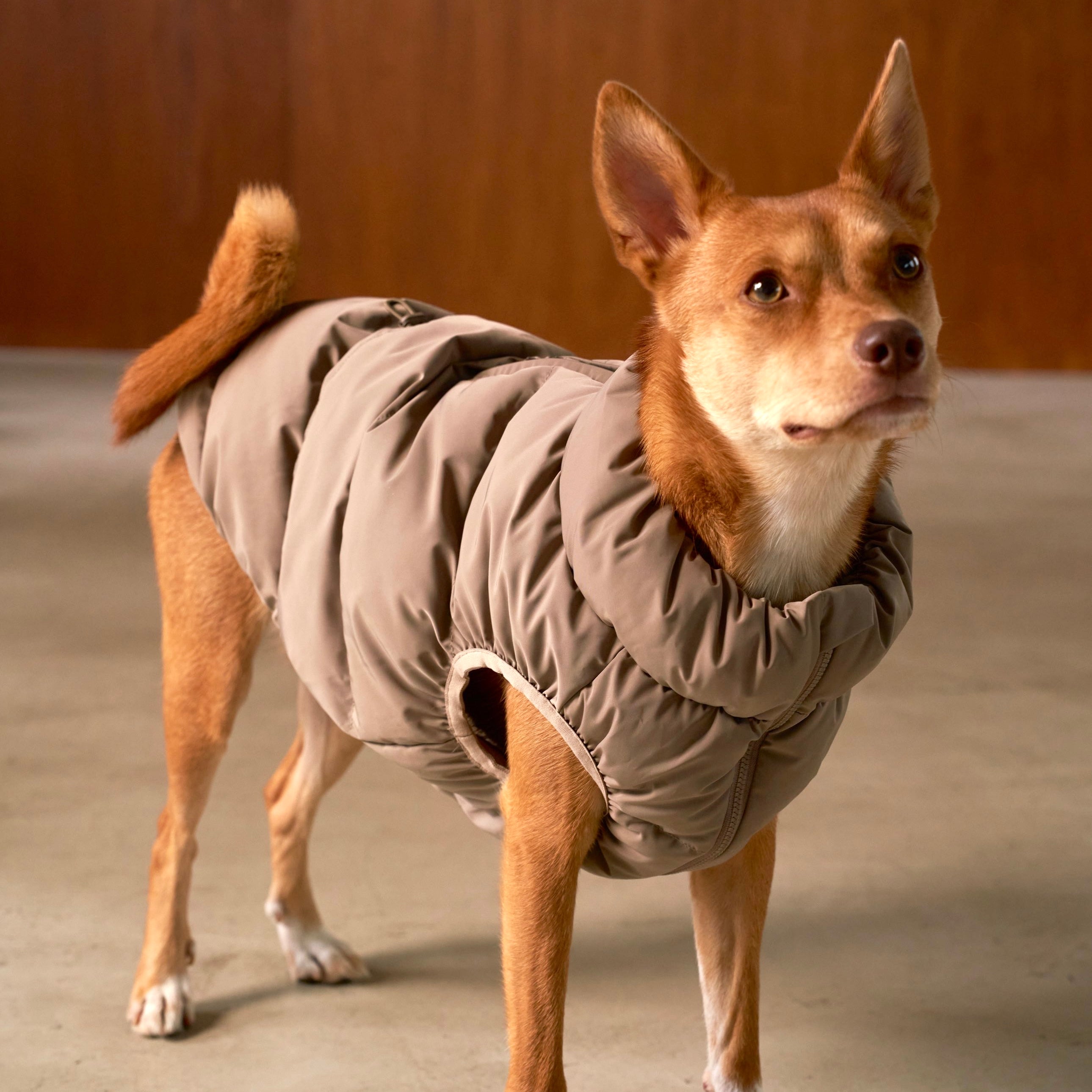 CushyCushy CUSHY PUFFER VEST ブラック サイズ8 Cushy Puffer Vest - Pure Black