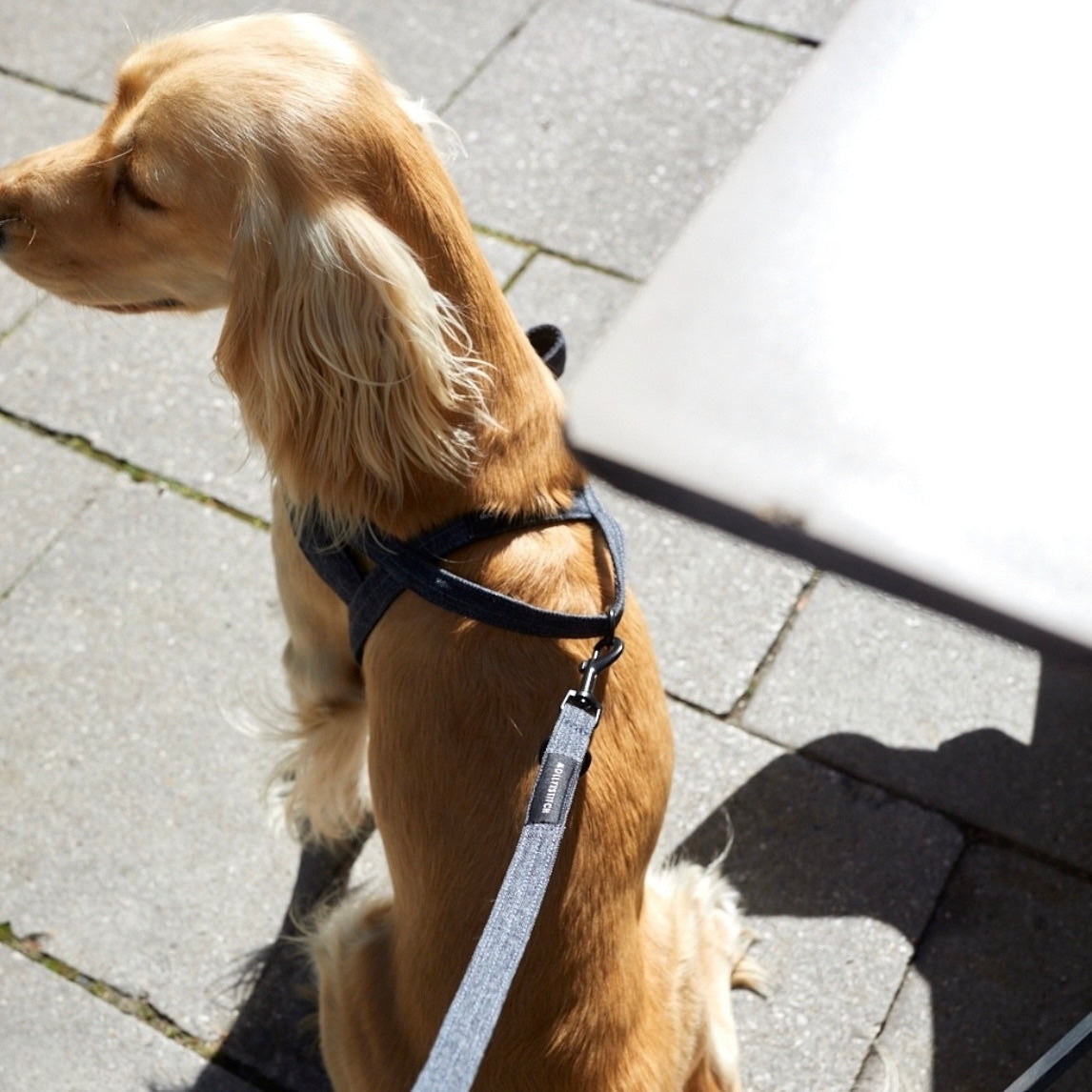 SOFT ROCK HARNESS グレー