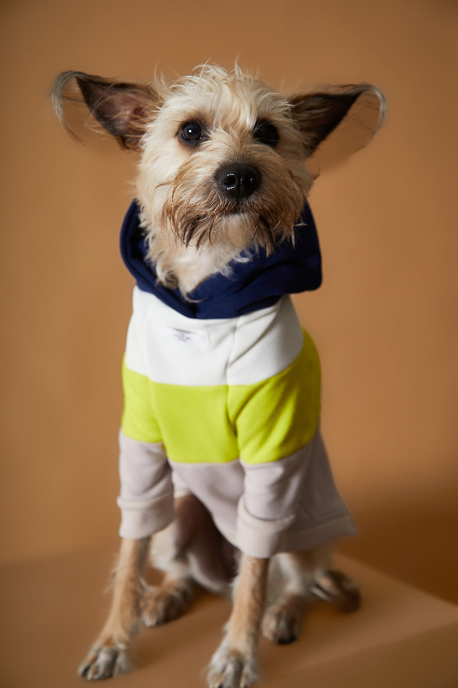 MACARON カラーブロックパーカー ネイビー×ピスタチオグリーン