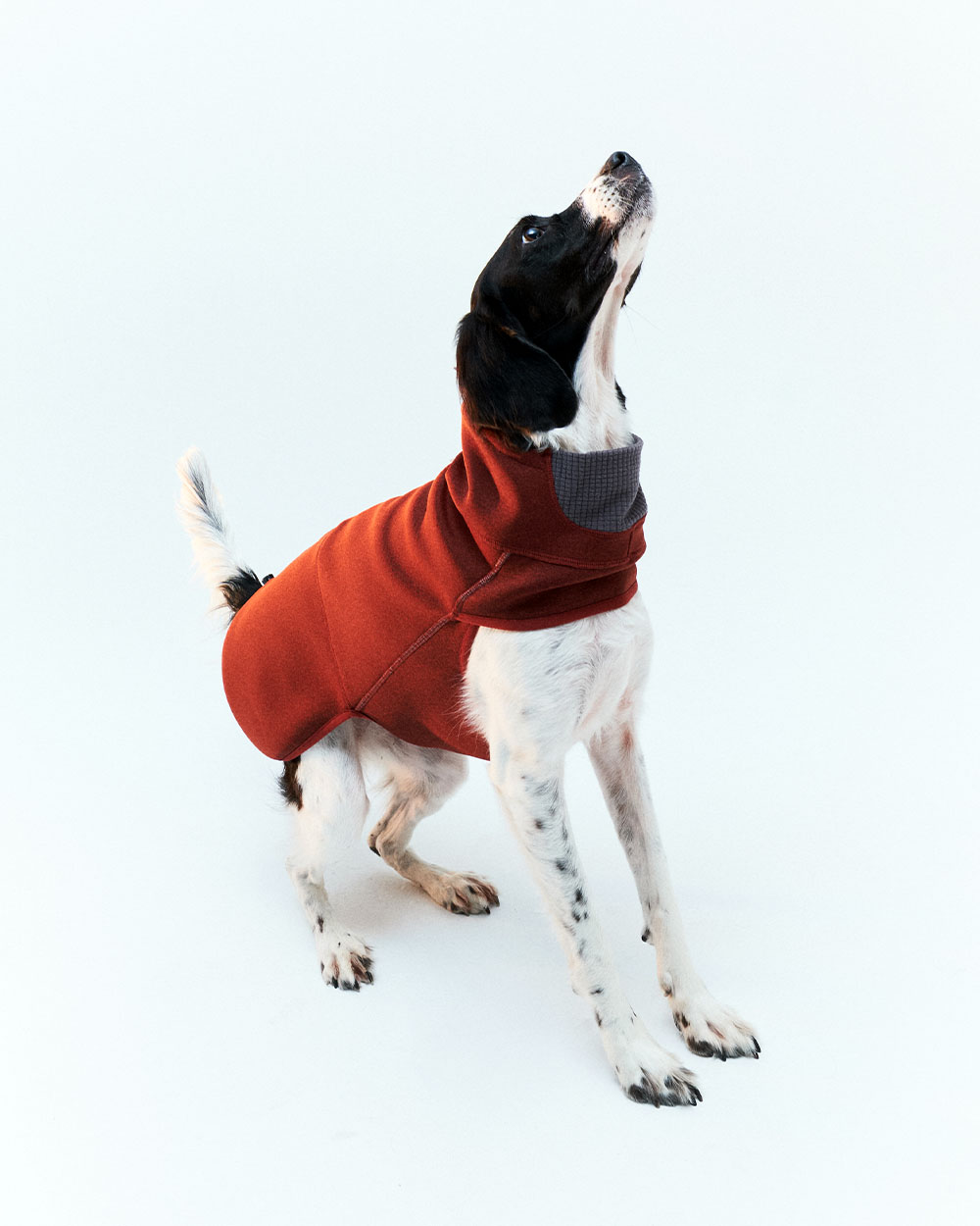 INTER FLEECE JACKET バーガンディー