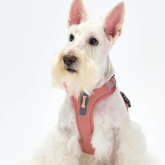 TREKTAIL Harness ピンク