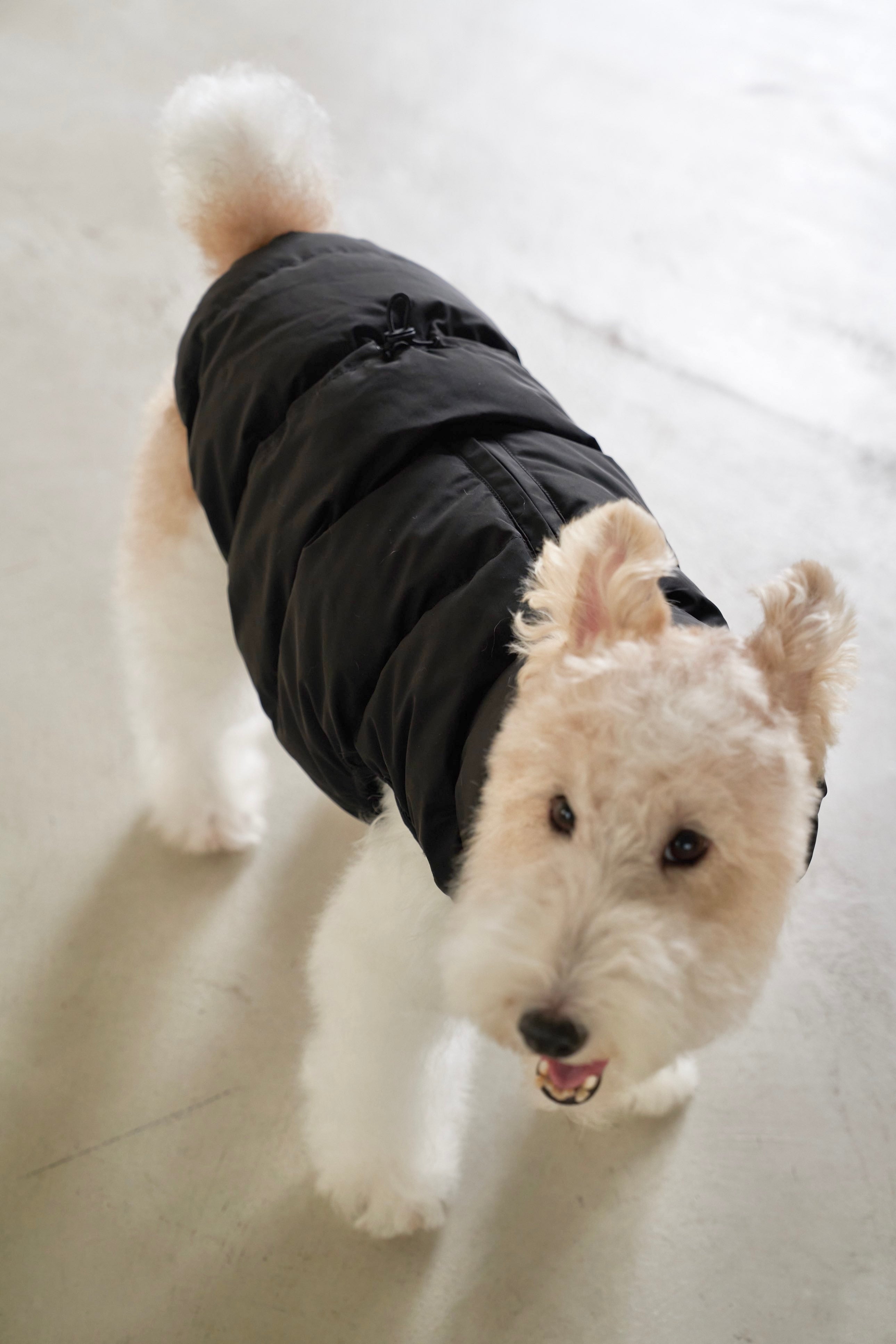 Cushy Puffer Vest ブラック