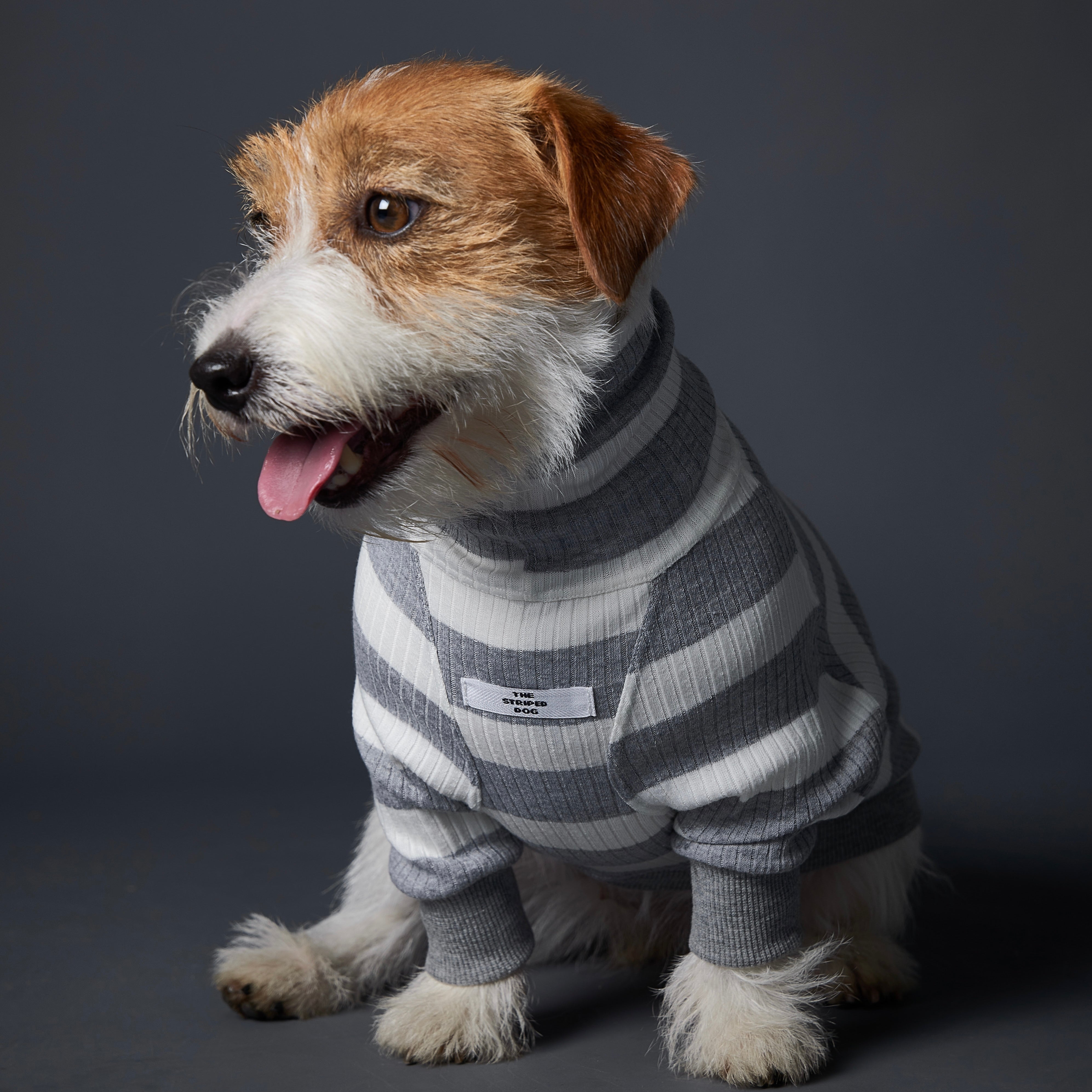 BREA タートルネックボーダーTシャツ