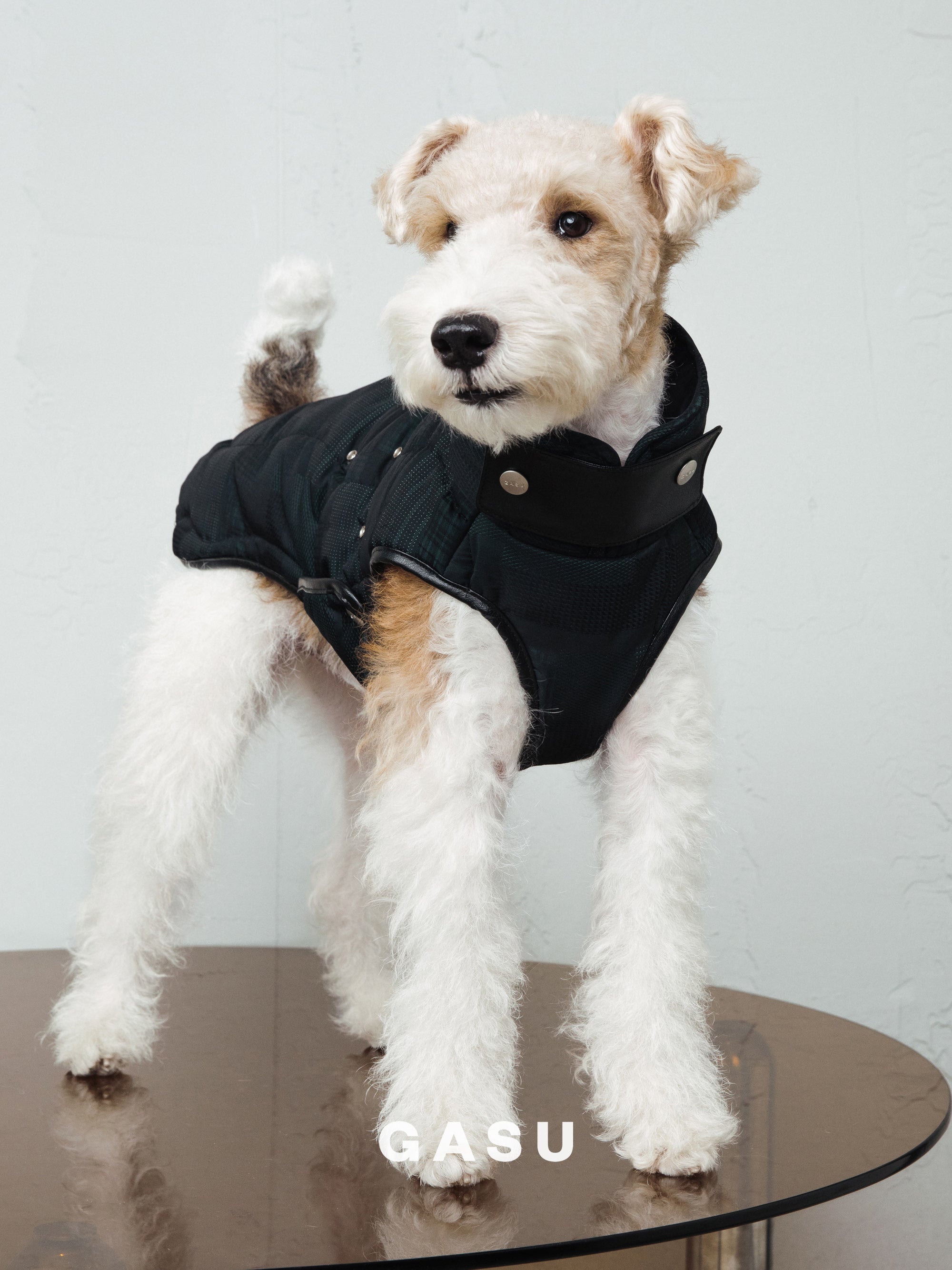 【全犬種対応】 Promener 3M™️シンサレート 静電気防止サーマルキルティングベスト