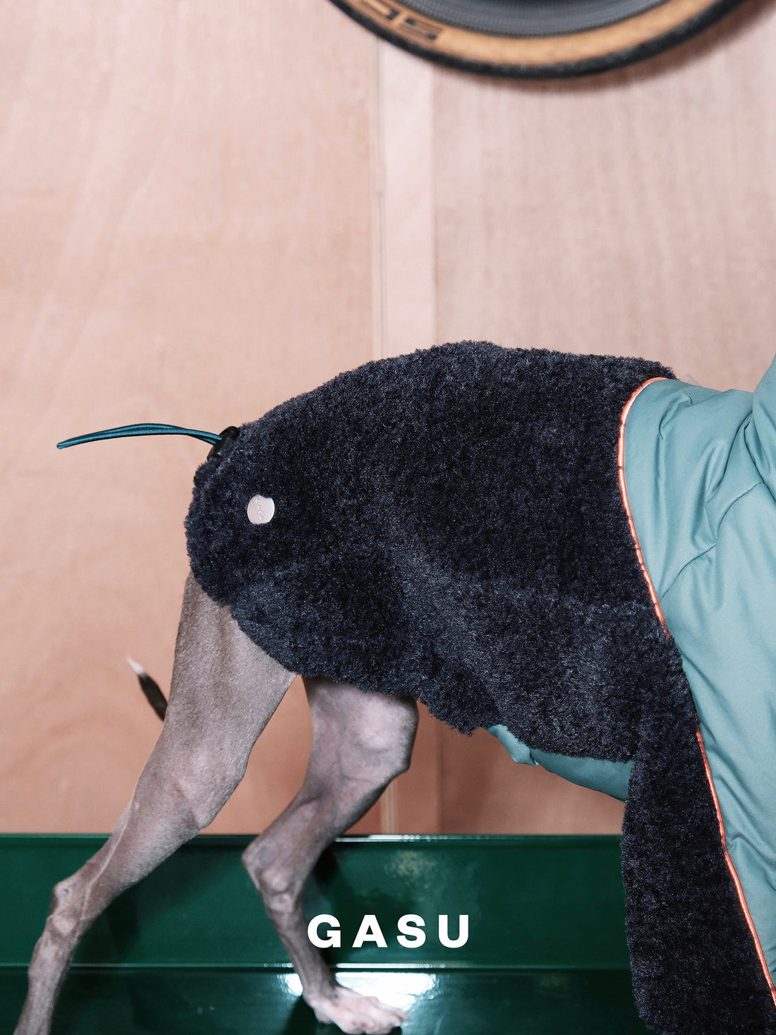 【全犬種対応】Variete 3M™️シンサレート あったかフリース中綿ジャケット