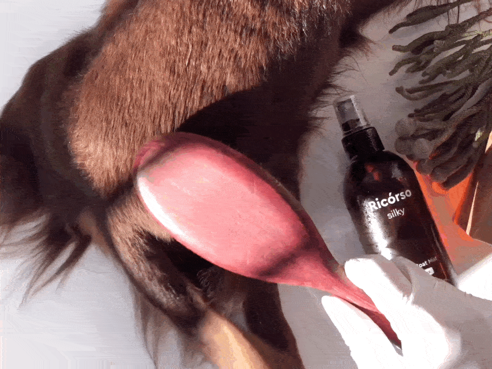 Silky スキン&コートミスト