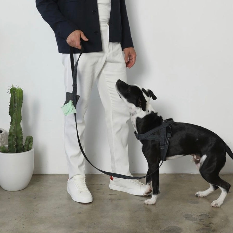 SOFT ROCK HARNESS ブラック