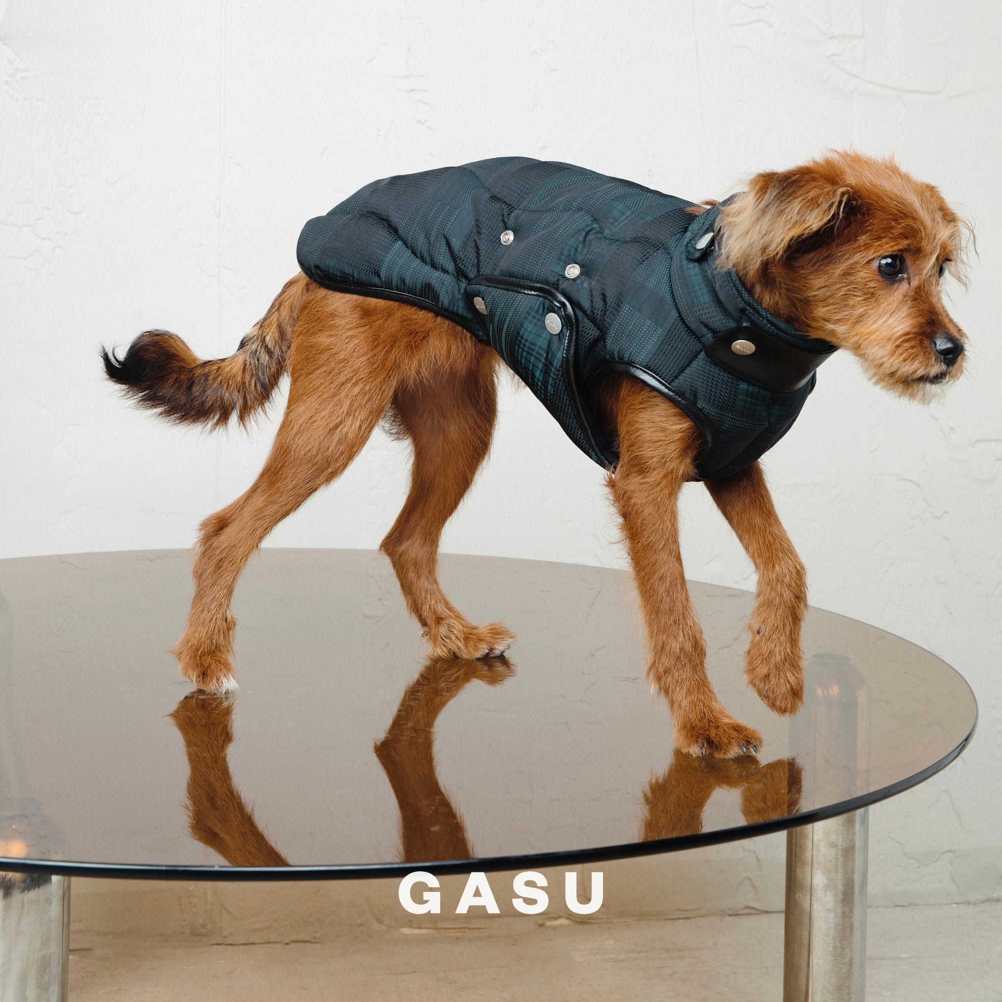 【全犬種対応】 Promener 3M™️シンサレート 静電気防止サーマルキルティングベスト