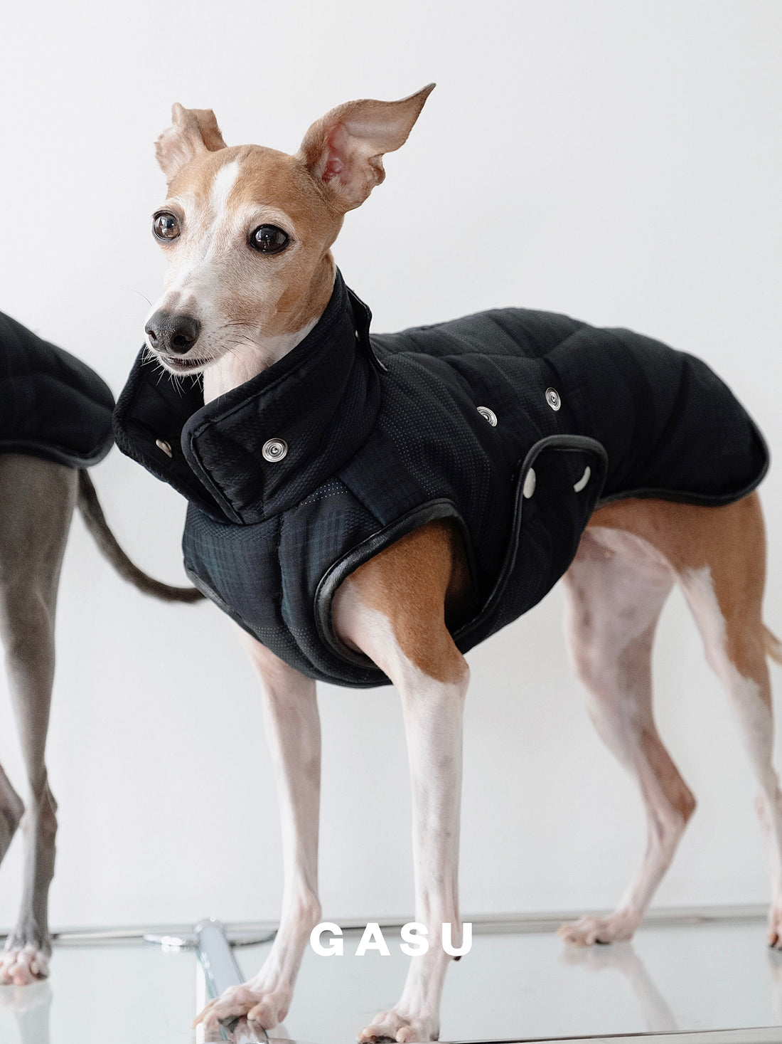 【全犬種対応】 Promener 3M™️シンサレート 静電気防止サーマルキルティングベスト