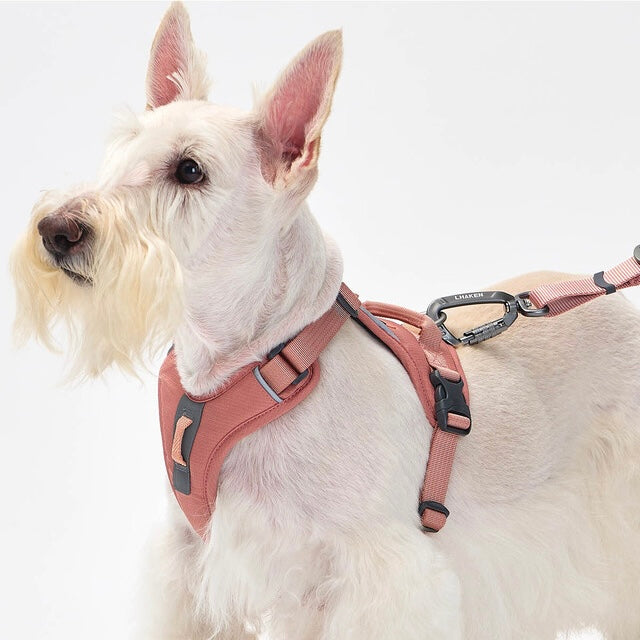 TREKTAIL Harness ピンク
