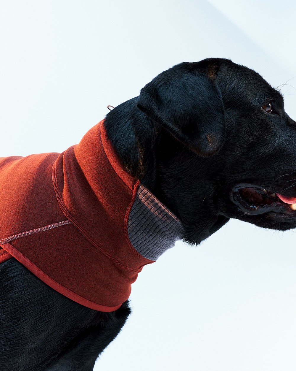 INTER FLEECE JACKET バーガンディー