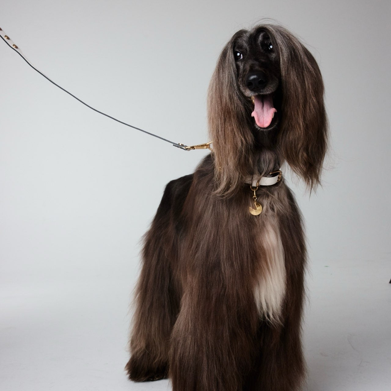 CLASSIQUE LEAD ホワイト